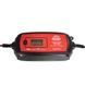 Зарядное устройство Vitals Master Smart 4000 000162861 фото 4