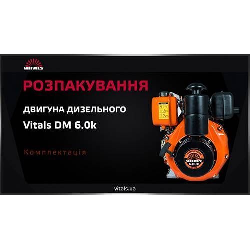 Двигатель дизельный Vitals DM 6.0k 000077318 фото
